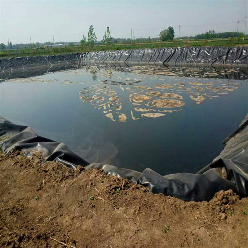 Pond liner (11)