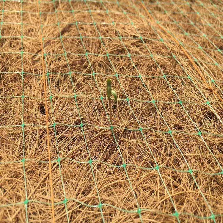 Coir mat (6)