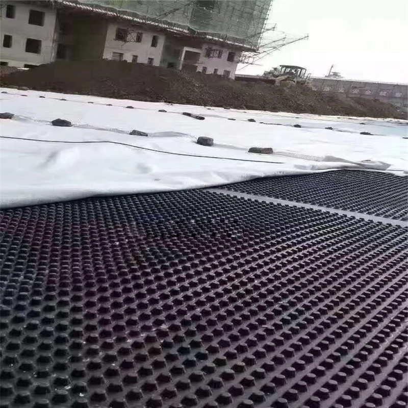 Dimpled Plastic Drain Sheet26