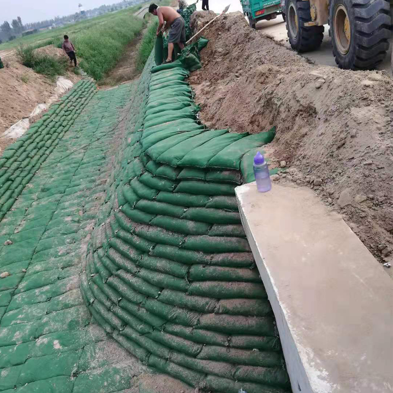 Geobag-construction1