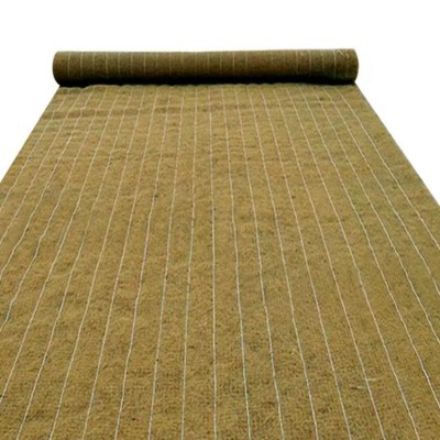 coir mat.jpg
