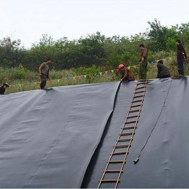 Geomembrane004.jpg