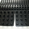 Dimpled Plastic Drain Sheet
