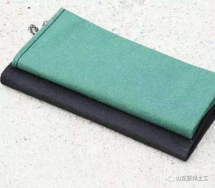 geobag (2)